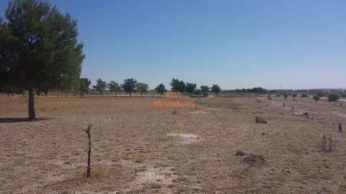 property-image