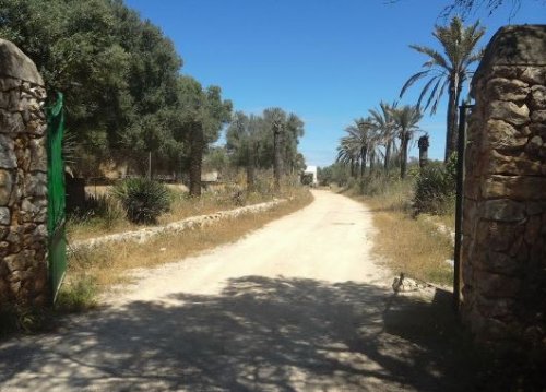 property-image