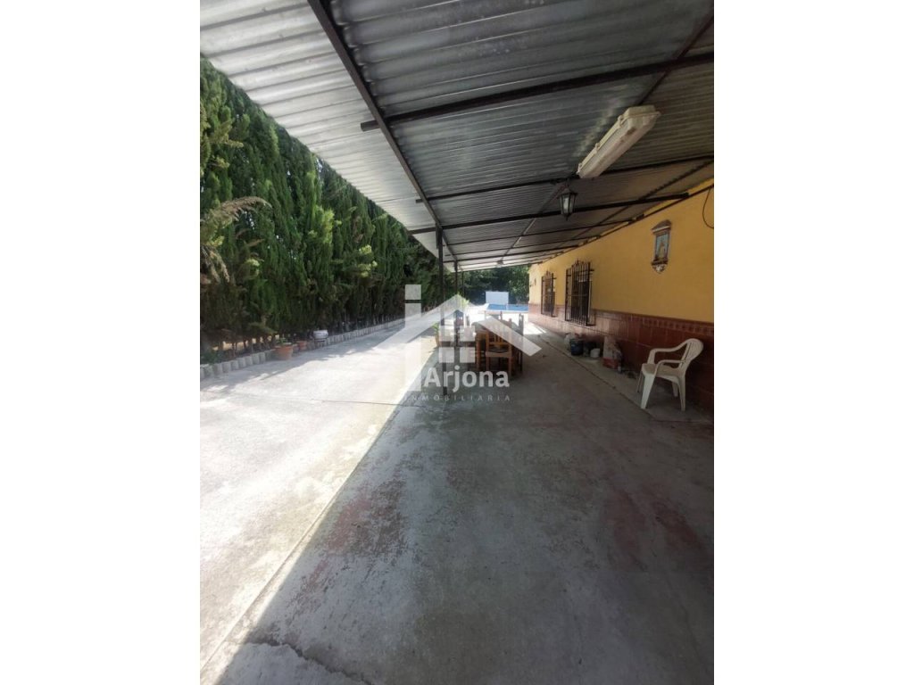 Featured Photo