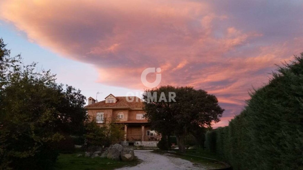 Featured Photo