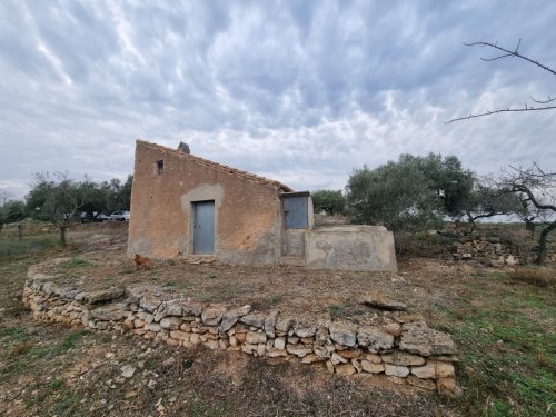 property-image