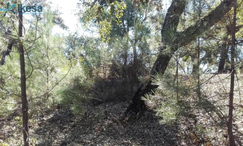 property-image
