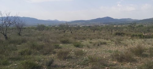 property-image