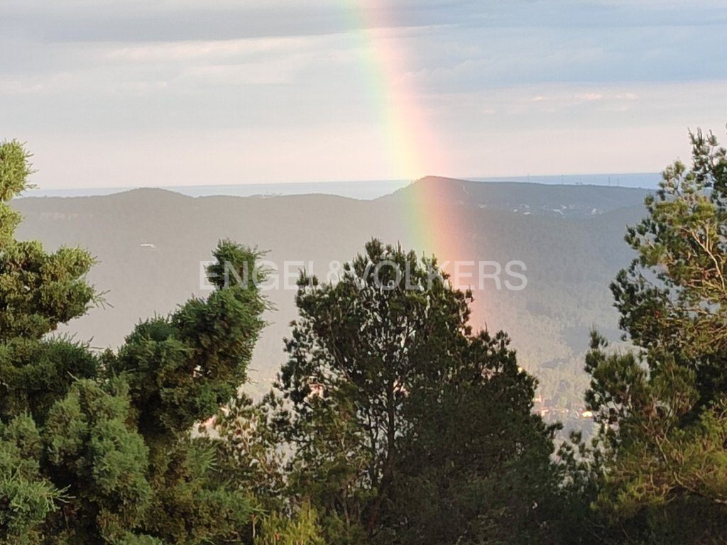 Featured Photo