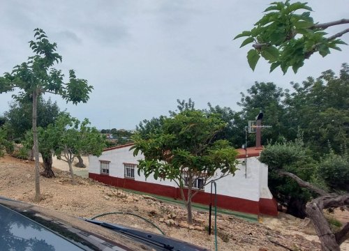 property-image